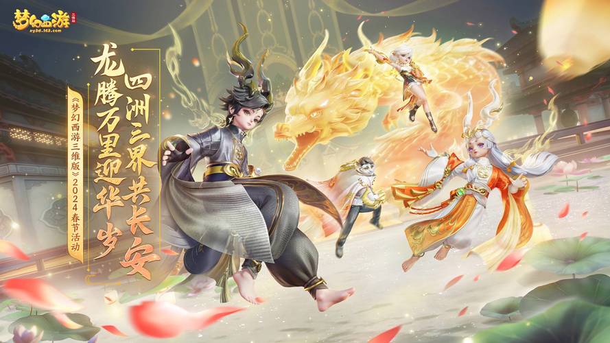 站群制作全过程视频